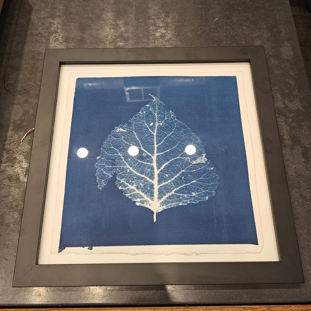 Framed 16x16 Cyanotypes by Mariano Chavez